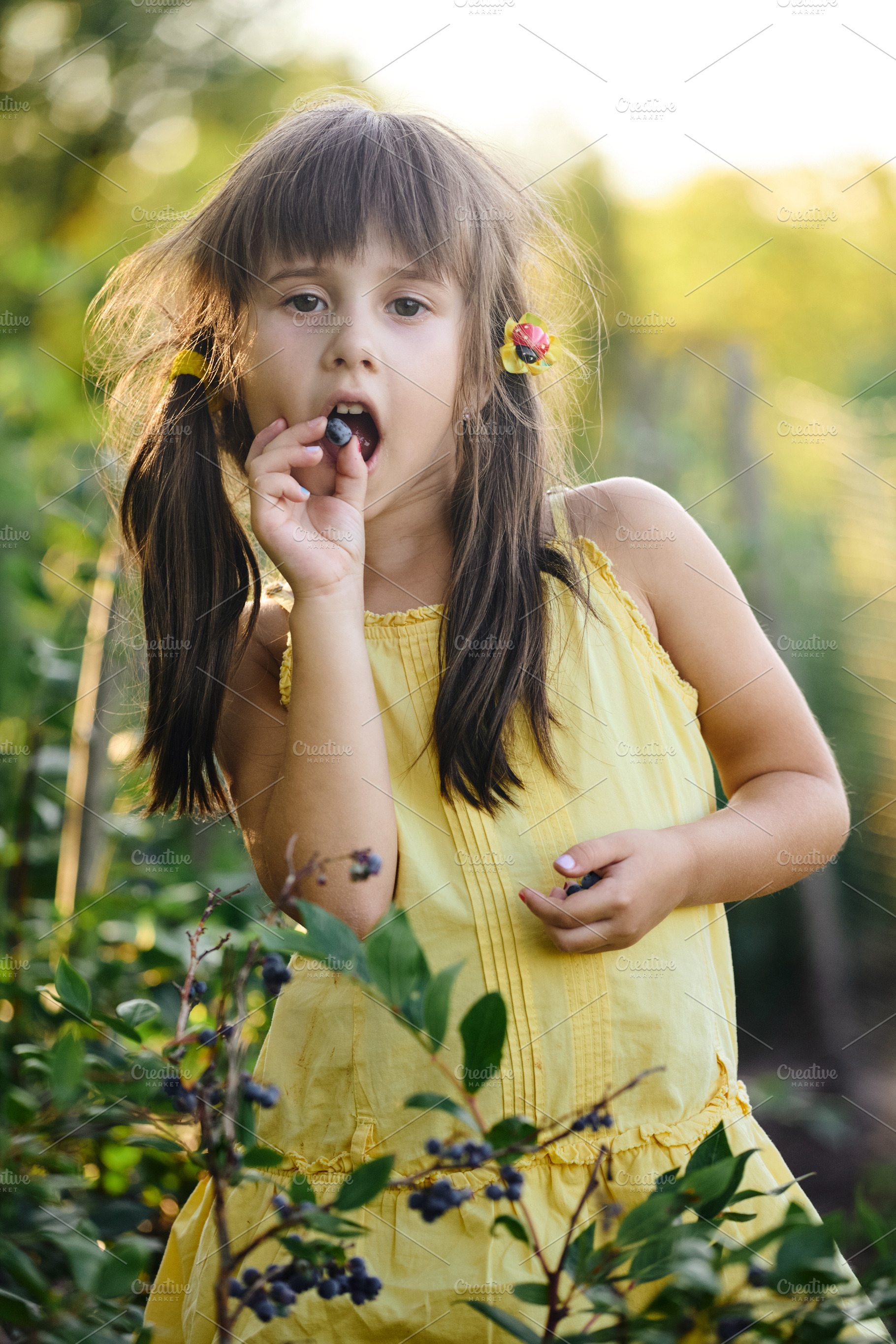 Cute little girl eating a fresh blueberry in the garden. Adorable child in yell, a Person Photo by Rohan Photography