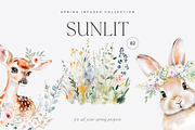 Sunlit - Spring Library, a Seasonal Illustration by Isabelle Salem (Thumbnail 1 of 13)