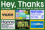 Franie Geometric Sans 72 Styles, a Sans Serif Font by That That Creative (Thumbnail 14 of 14)