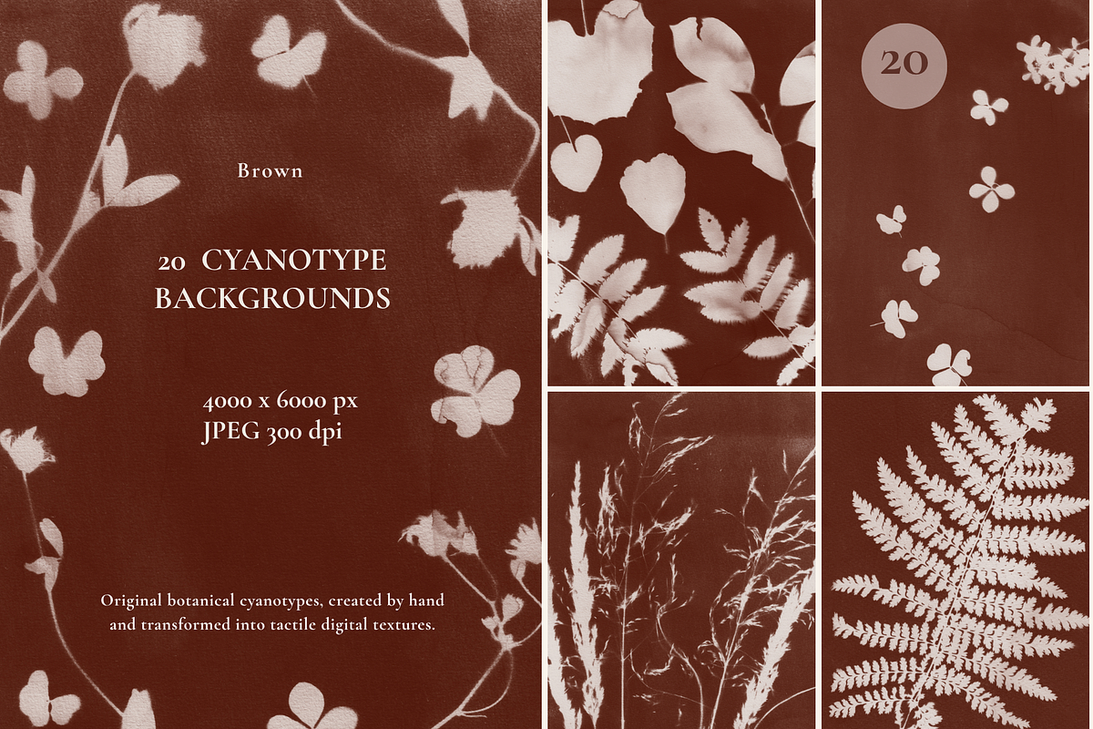 CYANOTYPE Botanical Backgrounds, a Background Graphic by Alisovna (Photo 10 of 15)