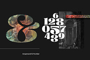 Glosta, a Serif Font by TRF Fonts (Thumbnail 14 of 18)