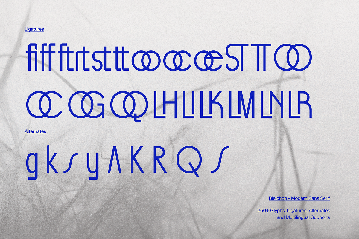 Bielchon | Modern Sans Serif, a Handwritten Font by gracetype_studio (Photo 11 of 11)