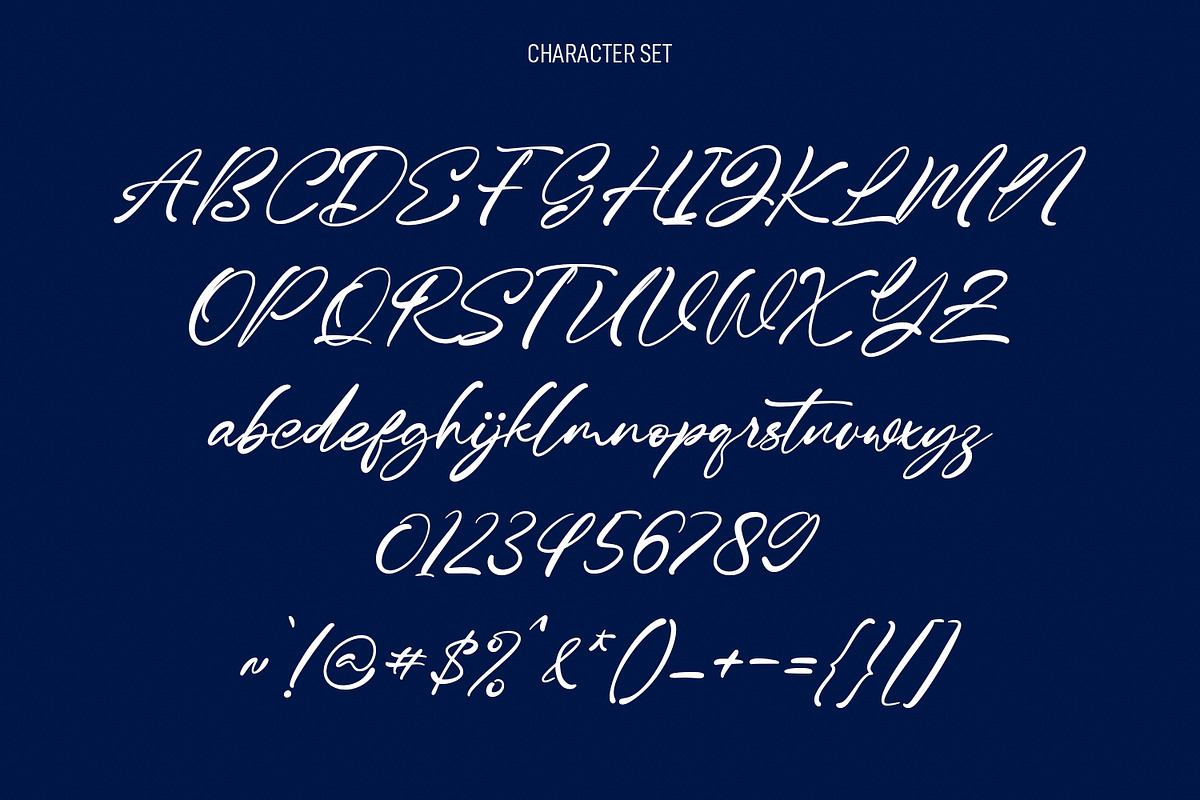 Mittchely Signature Script Font, a Script Font by Maulana Creative (Photo 4 of 8)