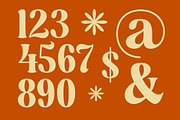 Dusty Brothe Groovy Serif Display, a Serif Font by timelesstype.co (Thumbnail 9 of 20)