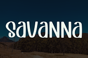 Barney, a Serif Font by FreshTypeINK (Thumbnail 7 of 7)