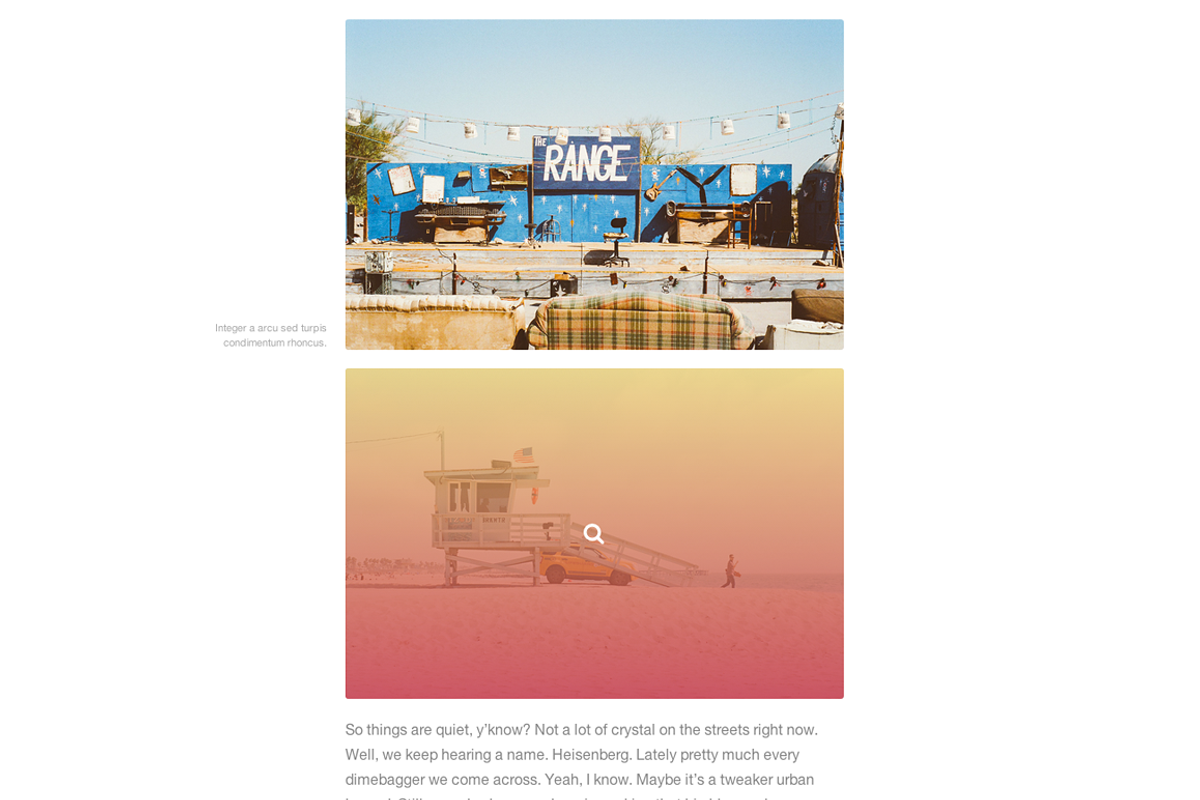 Type Wordpress theme, a WordPress Template by Pixel Revel (Photo 3 of 5)