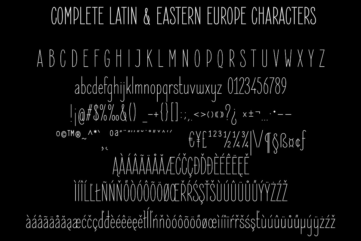 Elegant Sans Font Family preview 5