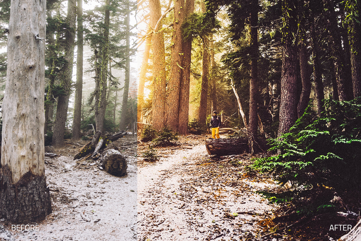 Super Lightroom Presets WF Bundle, an Action Add-On by RockShutter (Photo 7 of 11)