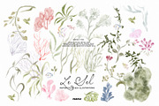 Le Sel: Watercolor Sea Illustrations, a Decorative Illustration by Purple (Thumbnail 11 of 12)