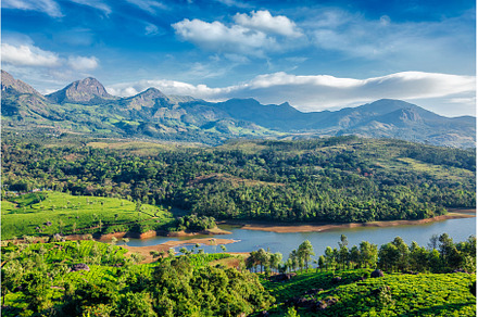 Tea plantations and river in hills, a Nature Photo by f9photos