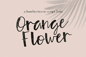 Orange Flower! Typeface with Extras