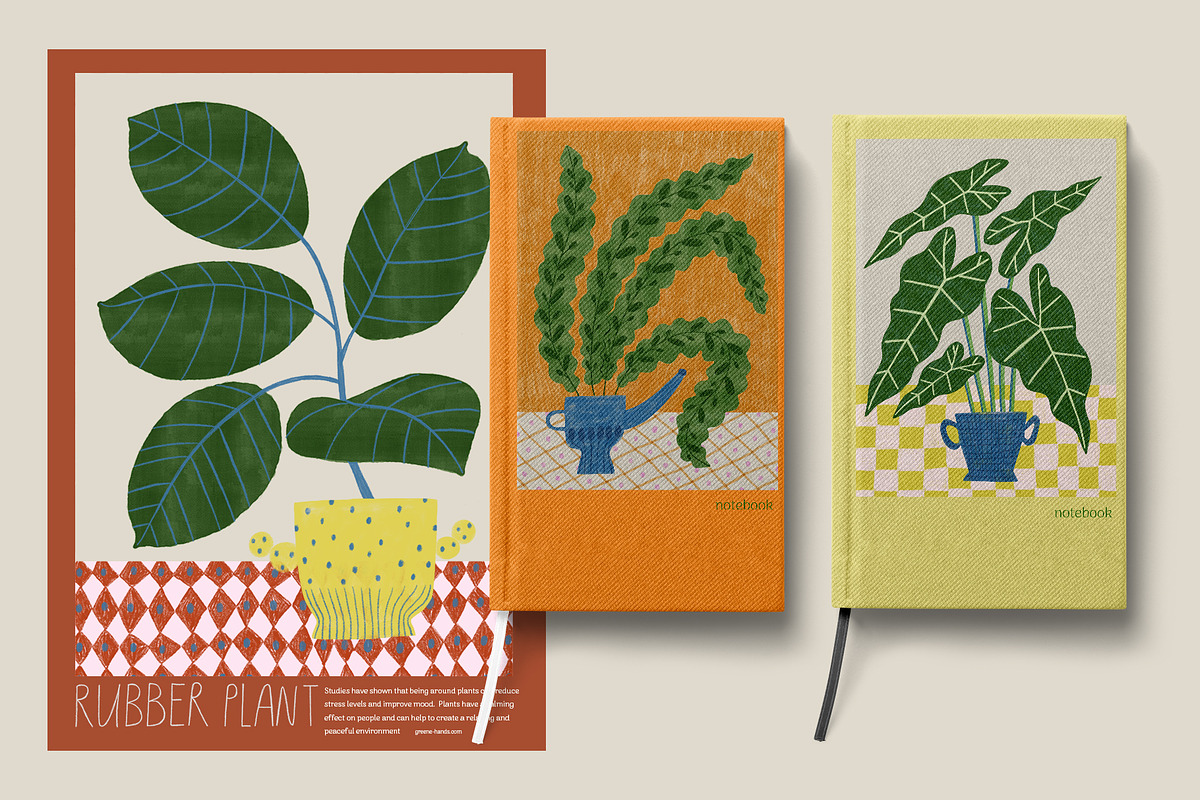 Peperomia - eclectic houseplants, an Illustration by Annakniaz (Photo 8 of 14)