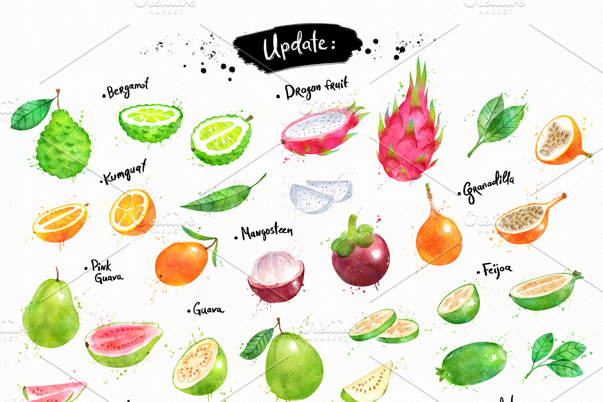 Fruit Watercolor Collection, an Object Graphic by Sonya Illustrations (Photo 6 of 7)
