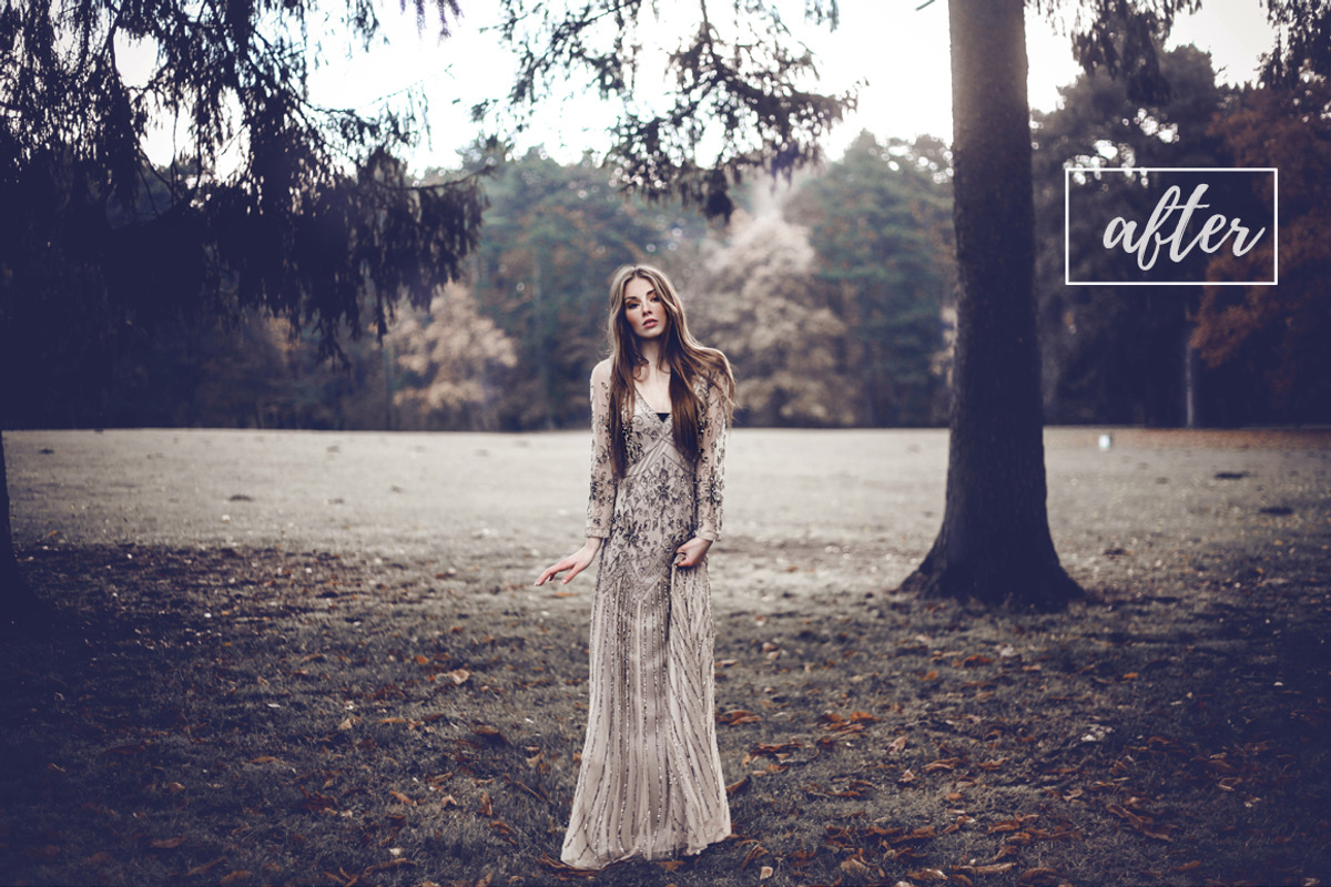 100 Fairytale Lightroom Presets, a Plug-in Add-On by Laras Wonderland (Photo 3 of 12)