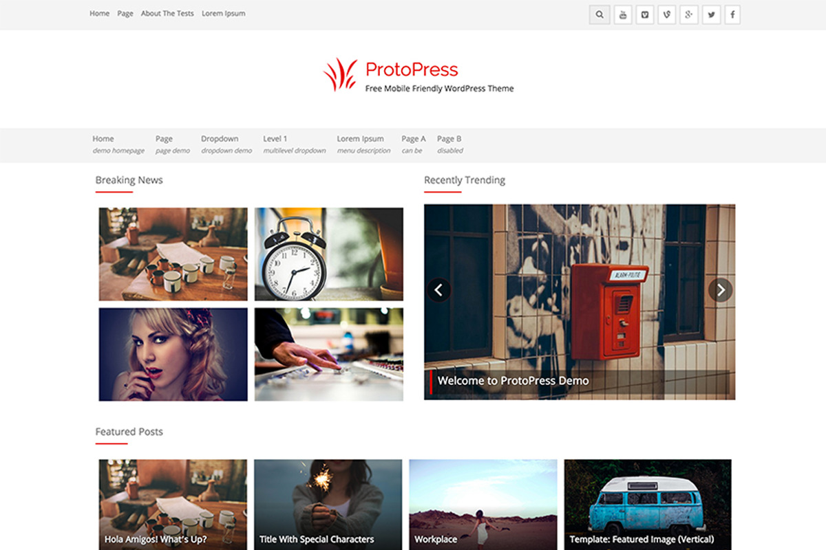 ProtoPress Pro, a WordPress Template by Rohit Tripathi (Photo 4 of 4)