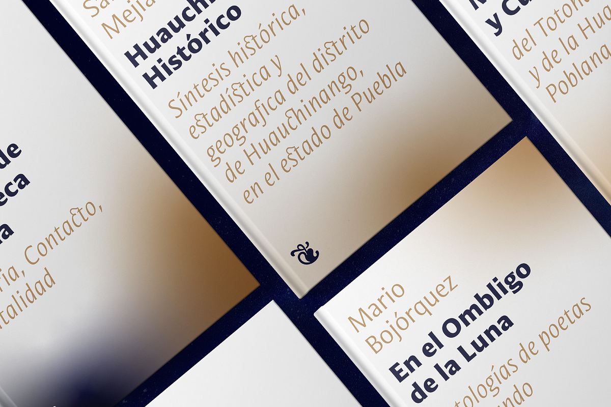 Mestiza Sans, a Sans Serif Font by Lechuga Type (Photo 14 of 19)