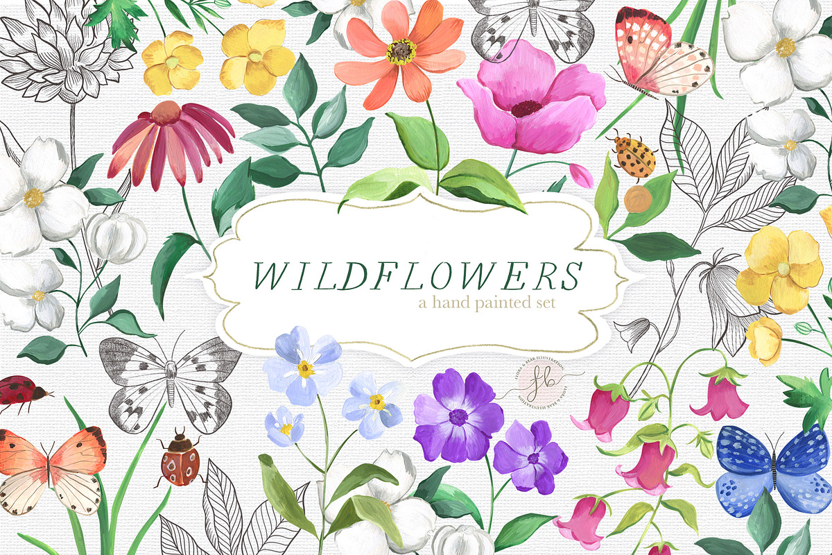 Wildflowers, an Illustration by Flora+Bear (Photo 1 of 11)
