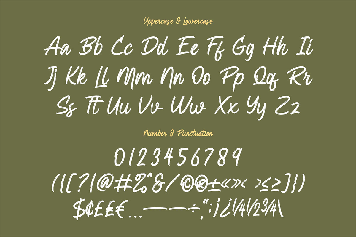 Basilk - Brush Handwritten Font, a Handwritten Font by Pekotype (Photo 3 of 14)