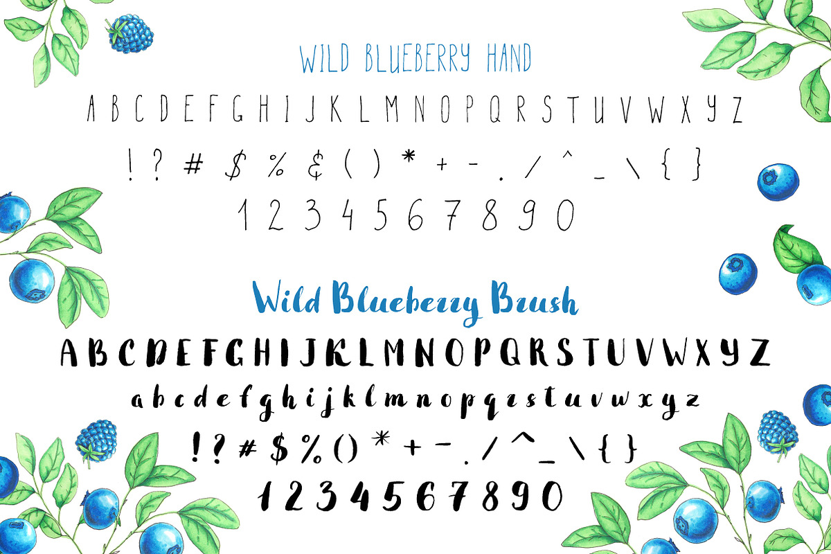 Wild Blueberry Font Duo preview 4