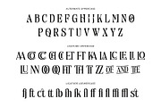 Flurries - Serif Display Font, a Serif Font by Brainwaves.Studio (Thumbnail 5 of 8)