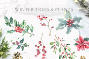 Christmas Watercolor Woodland, an Animal Illustration by Catherine Wheel (Thumbnail 13 of 22)