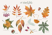 Fall Leaves | Cliparts & Pattern, a Decorative Illustration by OkPen (Thumbnail 2 of 5)