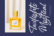 Mention Roberto Modern Brush Font, a Script Font by stylishtype.co (Thumbnail 10 of 20)