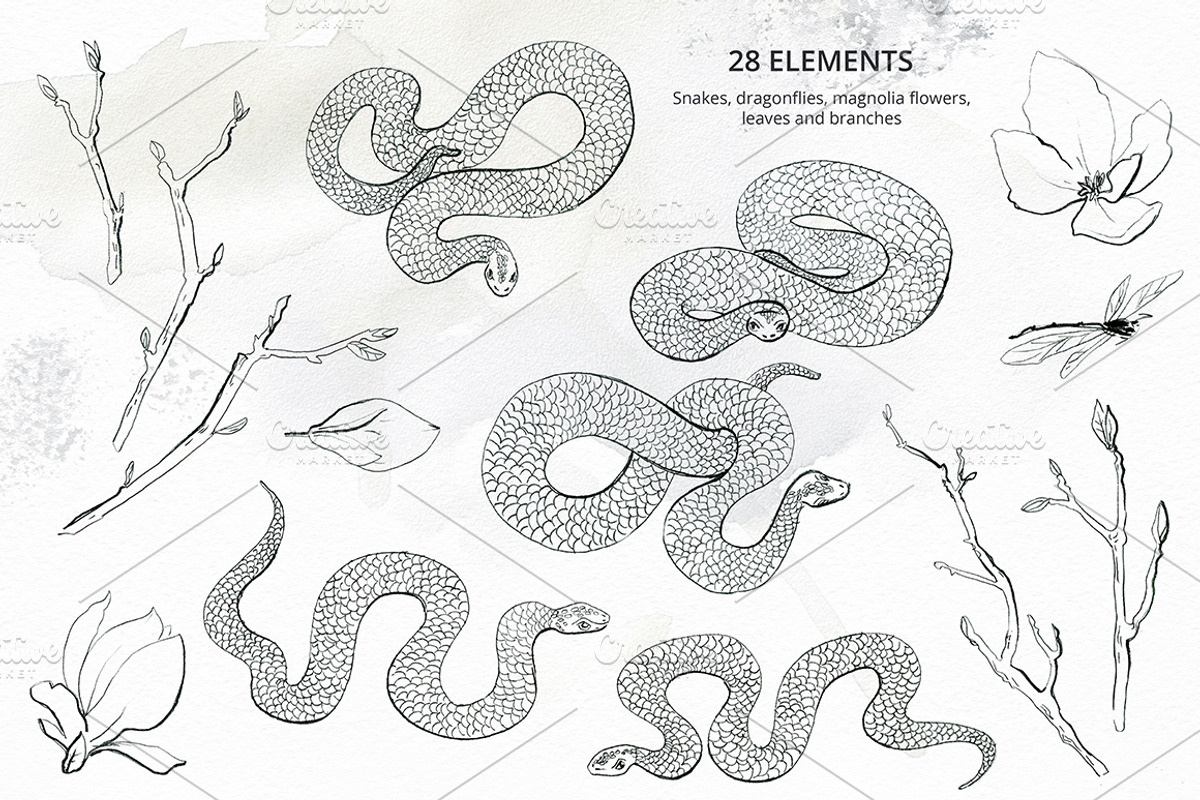 Elegant Wisdom graphics., an Animal Illustration by Dinkoobraz (Photo 4 of 16)