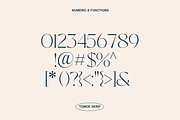 Lovie - Elegant Glyphs Serif, a Serif Font by Luna Shop (Thumbnail 5 of 7)