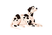Happy dogs of different breeds set, an Animal Illustration by PaperTrident (Thumbnail 2 of 11)