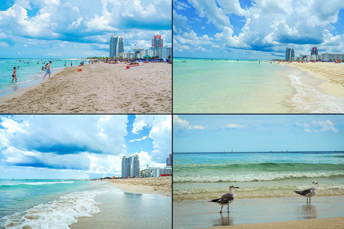 Miami beach /27pics, a Graphic by tydla (Photo 5 of 6)