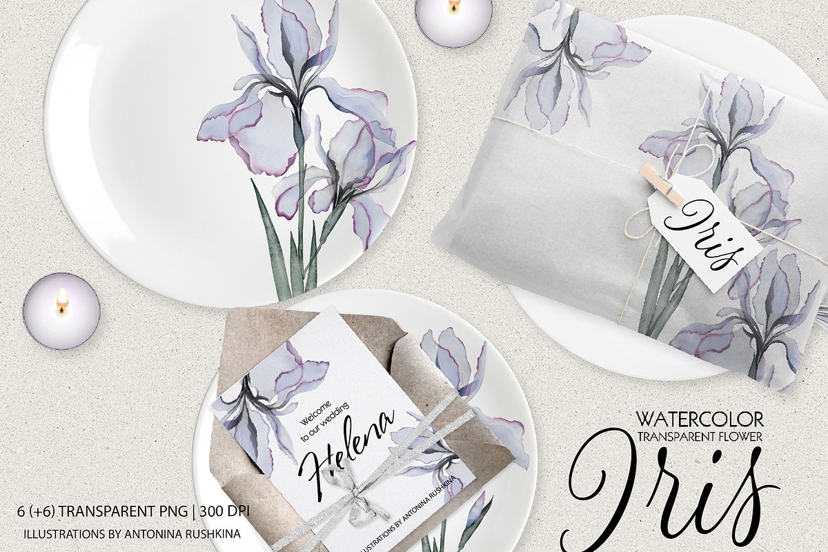 Transparent flowers of iris., an Illustration by RushkinaAntonina (Photo 4 of 6)