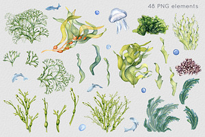 Sea Plants Watercolor Collection