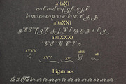 Dalvic – Calligraphy Font, a Script Font by NDNL Studio (Thumbnail 11 of 11)