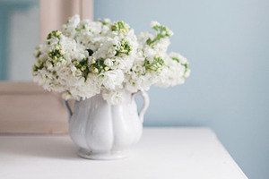 White Hyacinths on Dresser