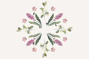 Vintage Flowers Vol.01 - Extra Large, an Illustration by Greta Ivy (Thumbnail 4 of 18)