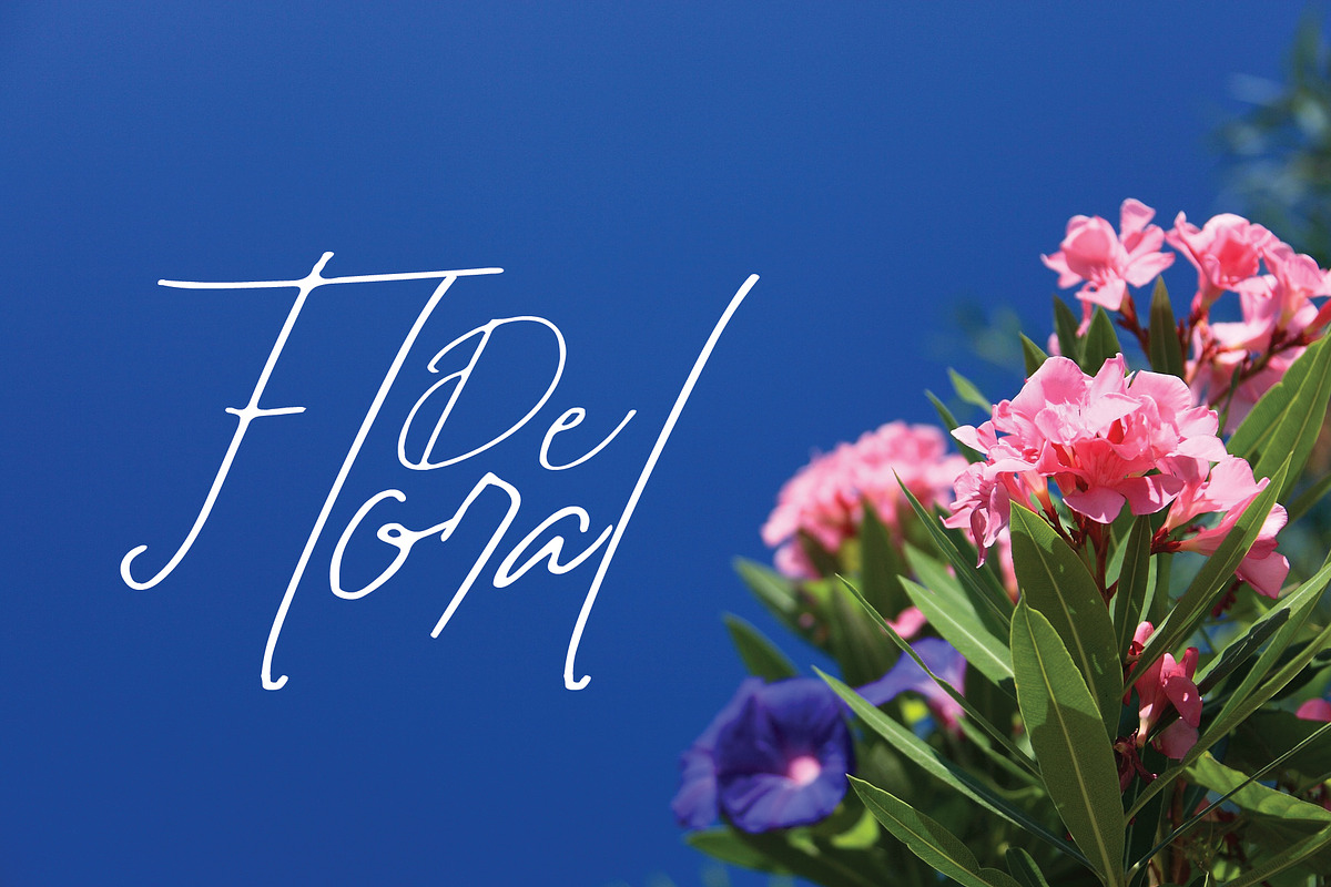 Hillary font preview 4