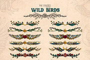 Wild Birds, an Animal Illustration by Ink Stories (Thumbnail 19 of 20)