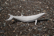 Papercraft Whale Sale, a Templates & Theme by PaperPetShop (Thumbnail 2 of 4)