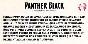 Panther Black, a Font by Device