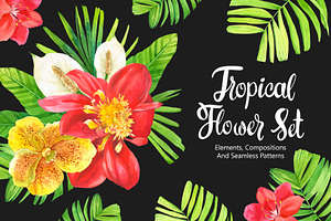 Tropical Flower Set