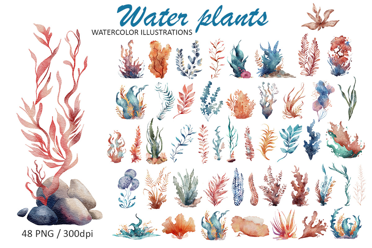 Water Plants Seaweed Clipart, an Object Illustration by Evgeniia (Photo 1 of 5)