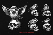 10 Bundle Dark Art Sparrow Bird, an Illustration by Morspective (Thumbnail 5 of 7)