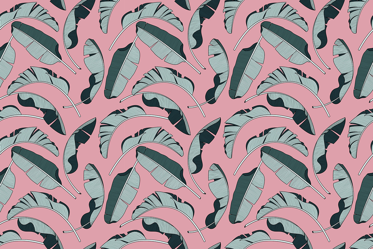Banana leaves vector, a Decorative Illustration by dv_illustration (Photo 3 of 5)