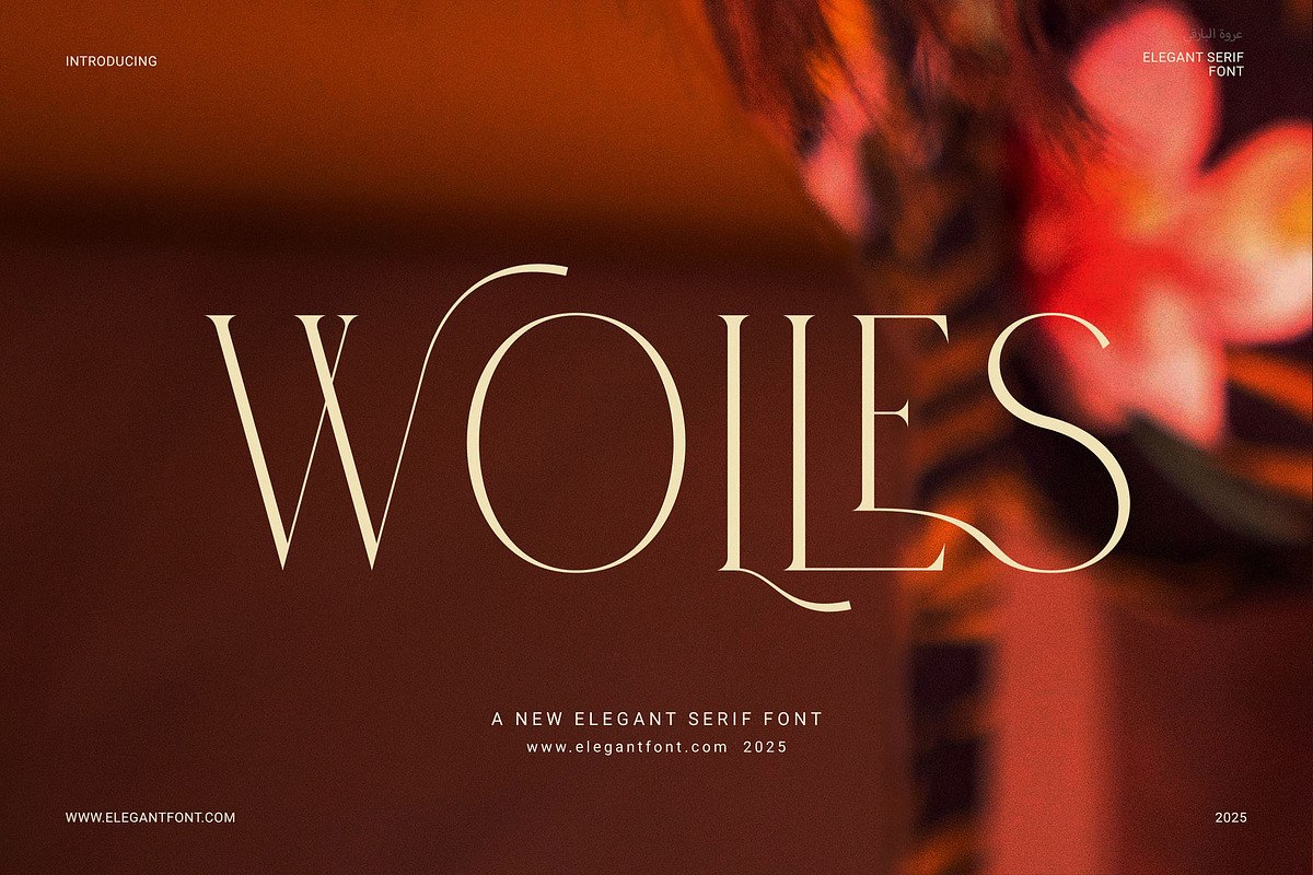Wolles Elegant Modern Serif Font, a Serif Font by Elegant Font (Photo 1 of 8)