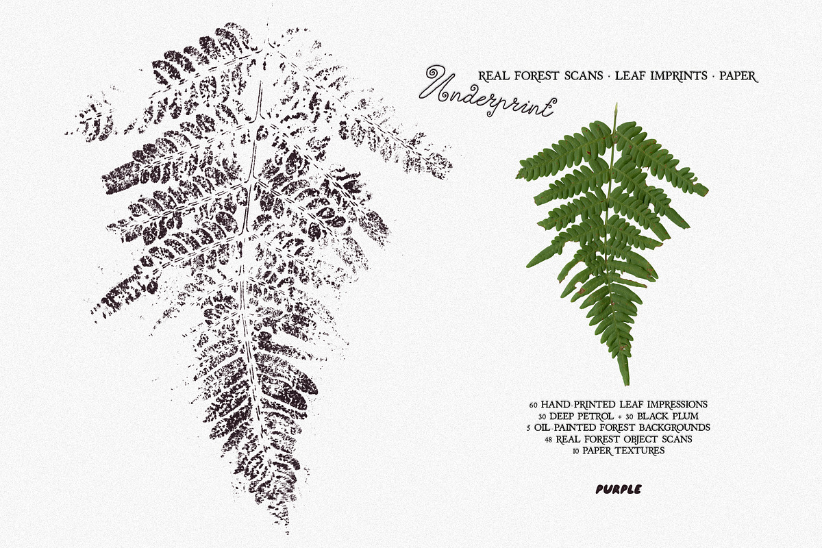 Leaf Imprints, Forest Scans & Paper, an Object Graphic by Purple (Photo 11 of 20)