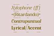 A High Contrast Sharp Serif | Sobria, a Serif Font by Pedroglifos (Thumbnail 10 of 15)