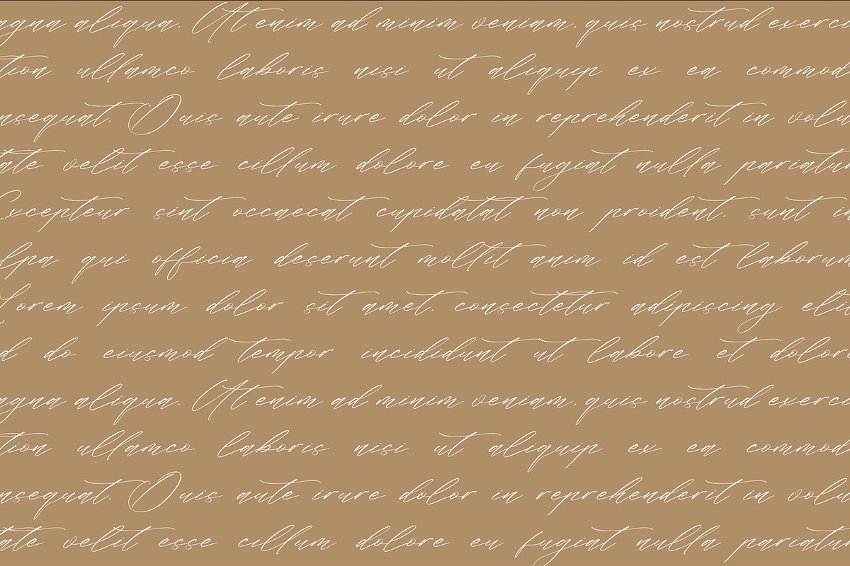 Flumtips Noulevia – Chic Calligraphy, a Script Font by Storytype Studio (Photo 8 of 15)