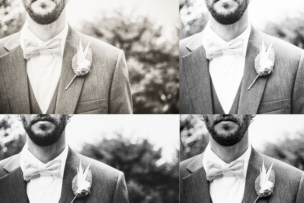 Black and White Film Presets preview 7