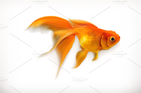 Goldfish Icon Realistic Vector Icon